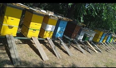 komode za bebe: Pčelinje košnice, dostupne u različitim bojama kao što su žuta, plava — 2