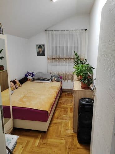 sim nekretnine novi sad: 1 soba — 1