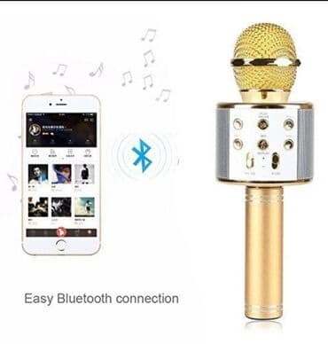 audi a3 8p multimedija: Mikrofon karaoke WS-858 Cena 1700din Dostupan u više boja! svetlo — 3