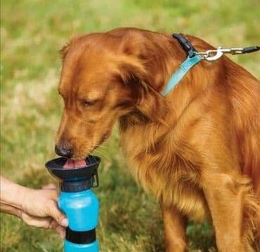 profesionalne cetke za pse: CENA 1190 dinara Aqua Dog - Specijalna čaša za pse Aqua Dog Cup je — 4