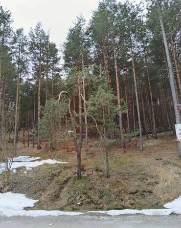 Placevi: Vlasnik — 1