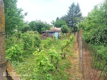 julija nekretnine stara pazova: 18 kv. m, 2 sobe — 27