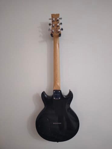 lov i ribolov smederevska palanka: Električna gitara Ibanez, idealna za početnike i napredne svirače. Ima — 6