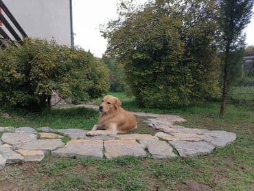 kikinda oglasi kuce: 145 kv. m, 4 sobe — 17