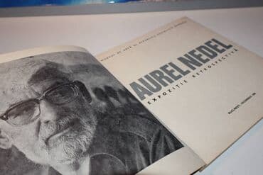 racunarstvo i informatika za 2 razred gimnazije: AUREL NEDEL 1980 București mek povez 22 cm ilustracije u boji i crno — 4