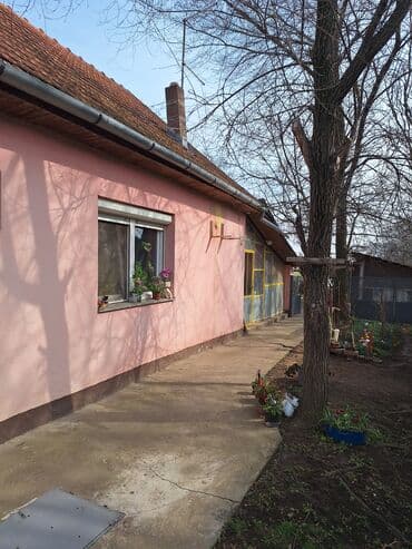nekretnine nova pazova: 65 kv. m, 2 sobe — 1