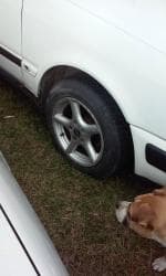 Vozila: Alu felne15 audi u dobrom stanju, raspon rupa 5x112 — 1
