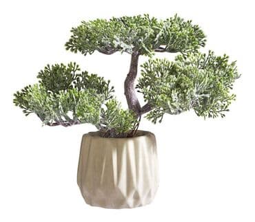 Home & Garden: Bonsai vestacko drvo u saksiji novo akcija cene nisu fiksne — 1