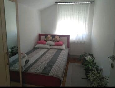 sim nekretnine novi sad: 1 soba — 5