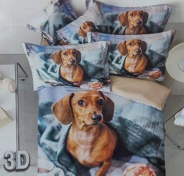 Bed sheets: Double, Cotton — 14