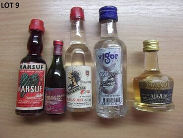 auto karta novi beograd: Mini Bottle unučići fraklići čokanji Kao sa slika . Zainteresovanima — 4