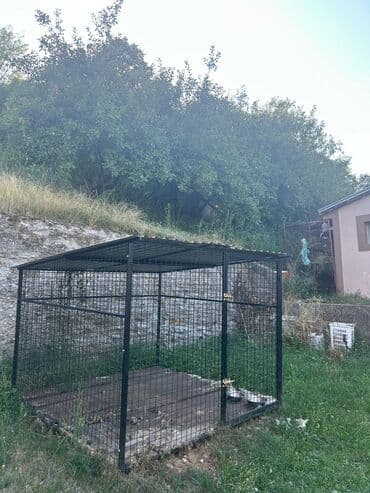 pojilica za pse: Prostran i siguran boks za pse, idealan za držanje vašeg ljubimca na — 1
