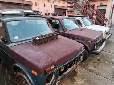 ajkula auto: Kupujem Lade Nive za delove. Placam 300 do 800 eura zavisno od stanja — 3
