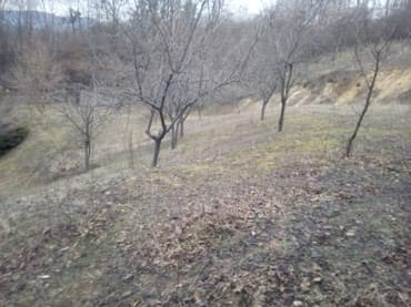 prodaja kuca sabac okolina: Prodajem ili bih menjao tri vezana placa u Loznici od 30 ari sa — 6