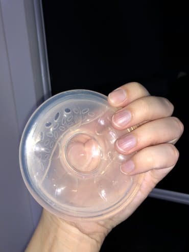 Avent stitnici za bradavice u koji mozete sakupljati mleko. Dolazi sa — 6