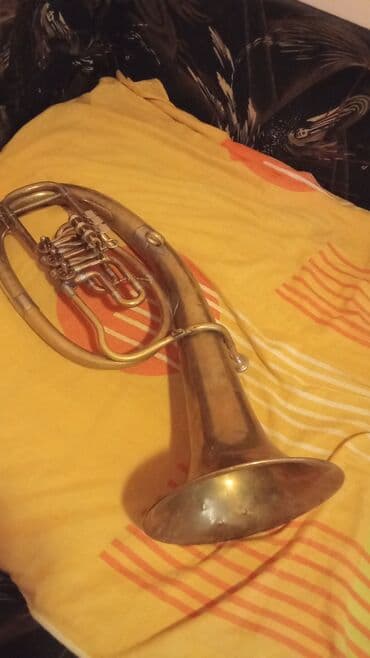 Muzički instrumenti: Duvacki instrument,tenor — 1