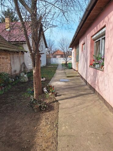 nekretnine nova pazova: 65 kv. m, 2 sobe — 4