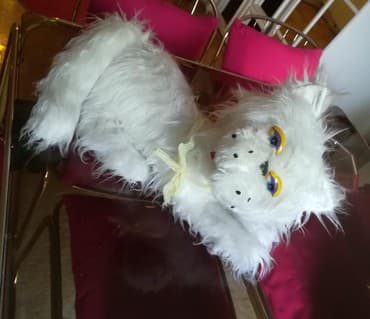 macke igracke za decu: Velika bela čupava mačka
Duzina 90 cm — 6