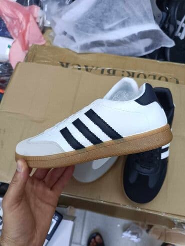 adidas gazele zenske: Adidas, 41 — 11