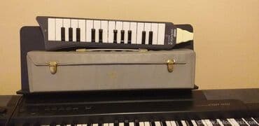 Muzički instrumenti: Honher Melodica Piano 26 Na prodaju melodika marke Hohner Melodica — 5