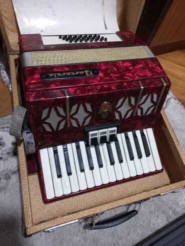 Muzički instrumenti: Harmonika decija — 1