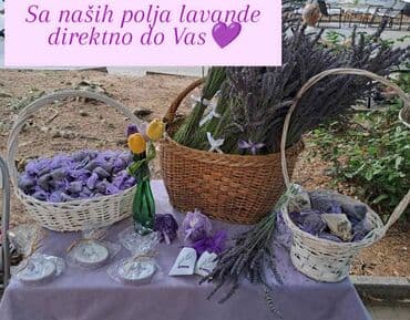 Ostali kućni dekor: Bоја - Ljubičasta, Novo