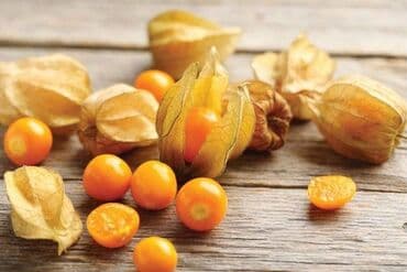 cena jagode 2024: Peruanska jagoda, Andska jagoda Physalis peruviana Cena:450 din/15 — 2