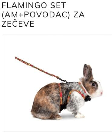 privesci sa natpisom: Komplet za zečeve Flamingo sastoji se od udobnog amova i povoca — 1