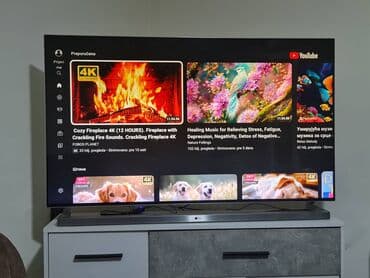 lg 42lb650v maticna ploca: Premijum model LG televizora LG 55LB870V-ZA . cena mu je bila par — 1