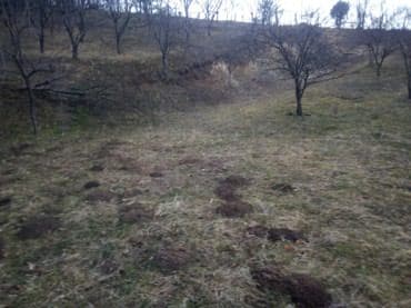 prodaja kuca sabac okolina: Prodajem ili bih menjao tri vezana placa u Loznici od 30 ari sa — 4