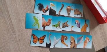 original dresovi za decu: Joga za decu društveno-edukativna igra učenje o životinjama kroz vežbe — 9