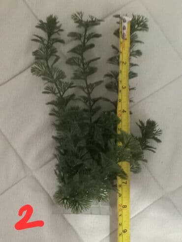 Akvariumi: Dodaci za akvarijum — 7