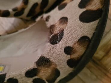 braon helanke: Salonke, 38 — 2