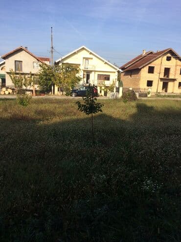 Placevi: Gradjevinski plac 1200 kvadrata (12 ari ) N Placu ima 60 kajsija 4 — 2