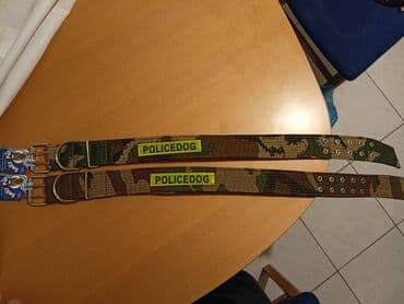 privesci sa natpisom: Vrh ogrlica za baš velike rase pasa NOVO, NOVO! ! ! — 6