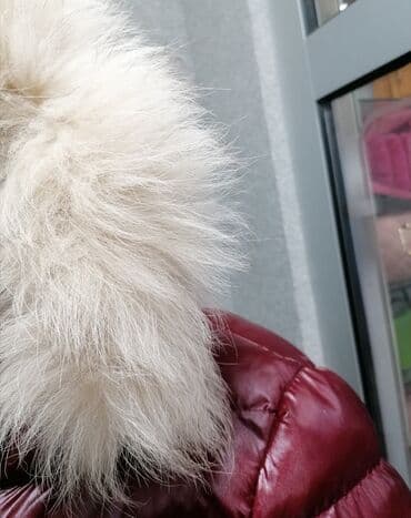 jakne za trudnice h m: Moncler, S (EU 36) — 3
