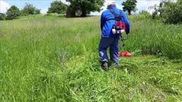 zvjezdano nebo u autu: Kosenje i uredjivanje vrtova postavka vestacke busen trave sadjenje — 6