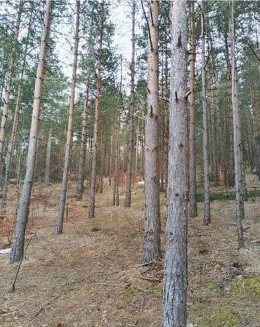 Placevi: Vlasnik — 3
