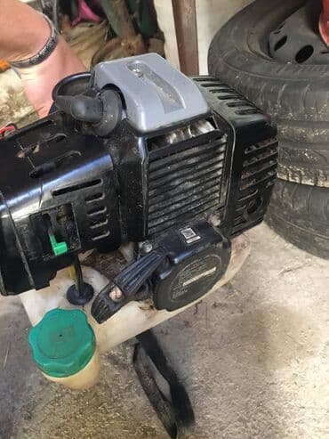 parkside trimer 4 u 1: Einhell, Gasoline, Used — 1
