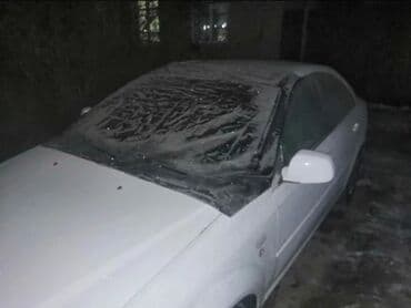 auto kamera 3 u 1: V3 Pokrivač sa magnetima za vetrobransko staklo Cerada sa — 4