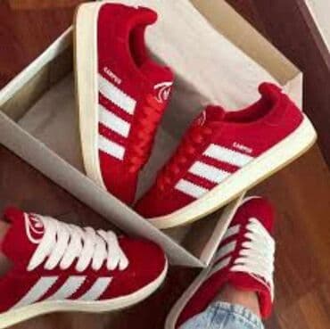 obuca hit cene kragujevac: Adidas, 44 — 1