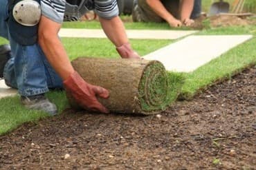 zvjezdano nebo u autu: Kosenje i uredjivanje vrtova postavka vestacke busen trave sadjenje — 5