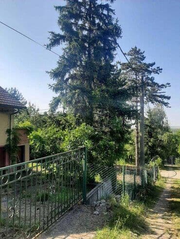 kikinda oglasi kuce: 40 kv. m, 2 sobe — 2