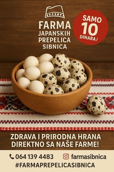 Mlečni proizvodi, jaja: Sveža prepeličja jaja sa Farme Sibnica, idealna za zdravu i — 2