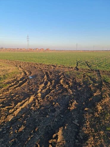 stanovi knjazevac prodaja: 46 ares — 2