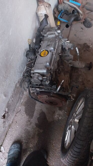 ajkula auto: Auto delovi Fiat Opel Citroen Reno povoljno — 12