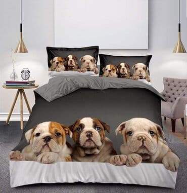Bed sheets: Double, Cotton — 5