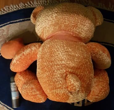 veličine za decu: PLISANI MEDA - Jako veliki. Ima srce i pise I love you. kao nov ! — 5