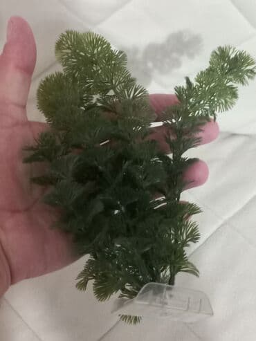 Akvariumi: Dodaci za akvarijum — 6