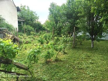 julija nekretnine stara pazova: 18 kv. m, 2 sobe — 28